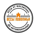 Компания «Весы Поволжья»