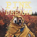 🍂😌 PINK DREAMS 😌🍂 СДД ✨