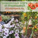 Огород - сад Медведевых