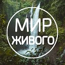 Мир Живого