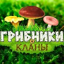 Лесная братва в тихой гавани