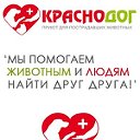 Приют для пострадавших животных КРАСНОДОГ