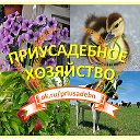 Приусадебное Хозяйство Тайшет (Иркутская  область)