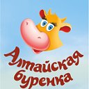 Алтайская Буренка