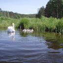 На байдарках по Лакая или Меркис