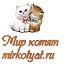 Мир Котят