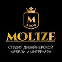 Студия дизайнерской мебели и интерьера ООО "Molize