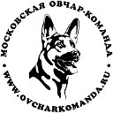 Московская овчар-команда