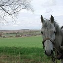 Одноклассники Рыдомльской СШ Толочинский р-н Витеб