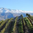 Travelling Sommeliers, intl. jobs and more
