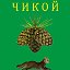 Объявления Красный Чикой.