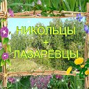 НИКОЛЬЦЫ + ЛАЗАРЕВЦЫ