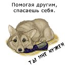 В добрые руки🐕🐈- помощь животным с. Залесово