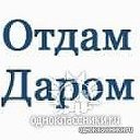 Отдам даром