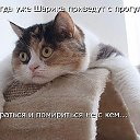 ПозитиФчик