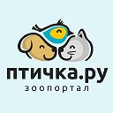 Птичка.ру — зоопортал