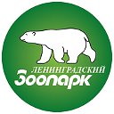 Ленинградский зоопарк