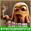 Смешные Видео и Гифки! ✔