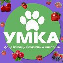 Фонд помощи бездомным животным УМКА г. Владивосток