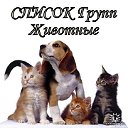 СПИСОК ГРУПП.животные .