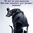 Встреча выпускников 2008 год