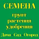 ФЛОРА БЕЛГОРОД