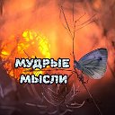 •๑ Мудрые мысли ๑•