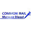 Ремонт форсунок Common Rail в Мурманске