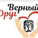 Ветеринарная клиника "Верный друг"