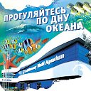 Океанариум "Sochi Discovery World Aquarium"