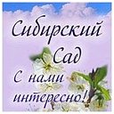 Сибирские Сады — интернет-магазин семян и саженцев