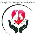 Общество защиты животных "Добрые руки" г. Бородино
