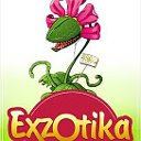 Хищные растения "EXZOTIKA", Россия
