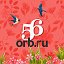 Новости Оренбурга - 56orb.ru