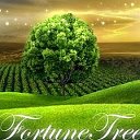 Fortune Tree