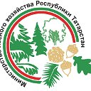 Министерство лесного хозяйства РТ