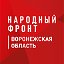 Народный фронт I Воронежская область