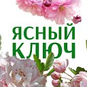 «Ясный ключ», Короча