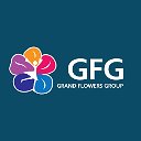 Цветы оптом - GRAND FLOWERS GROUP - GFG