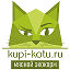 Купи коту kupi-kotu.ru