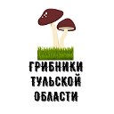 Грибники Тульской области