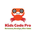 Kids Code Pro Программирование для детей
