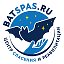 batspas.ru 🦇 Центр спасения летучих мышей