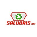 Salubris.md - Вывоз мусора контейнерами в Кишиневе