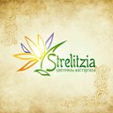 "Strelitzia" Галерея цветов и декора  Луганск