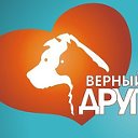 "Верный друг"Помощь бездомным животным г.Караганды