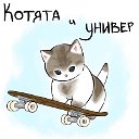 котята