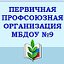 ПЕРВИЧНАЯ ПРОФСОЮЗНАЯ ОРГАНИЗАЦИЯ МБДОУ № 9