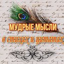 Мудрые мысли в стихах и цитатах.