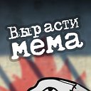 вырасти мема